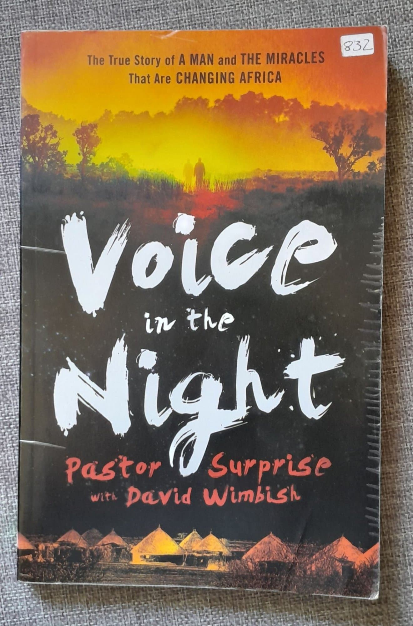 Voice in the night by Pastor Surprise and David Wimbish
