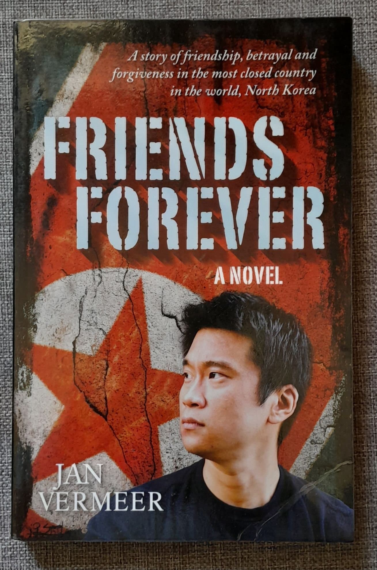 Friends Forever by Jan Vermeer